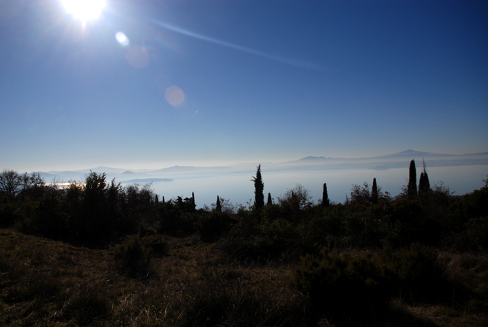 Clicca qui per vedere l'immagine in dettaglio